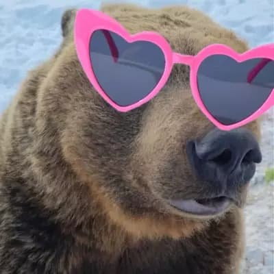Chill Bear thumbnail