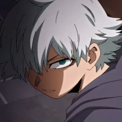 Touya Todoroki thumbnail