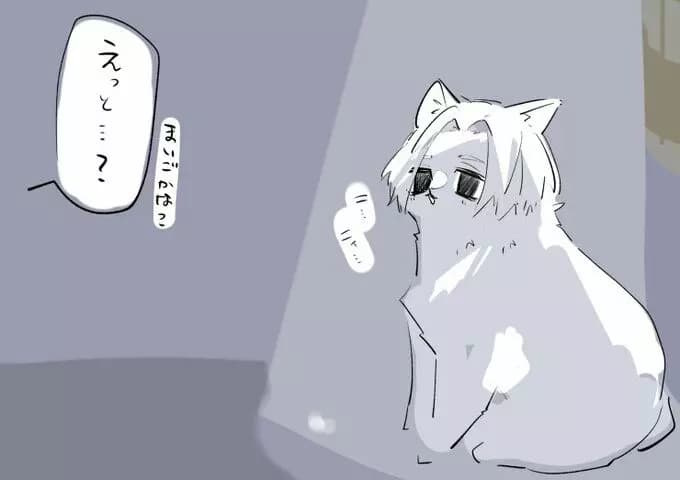 Manjiro Cat. thumbnail