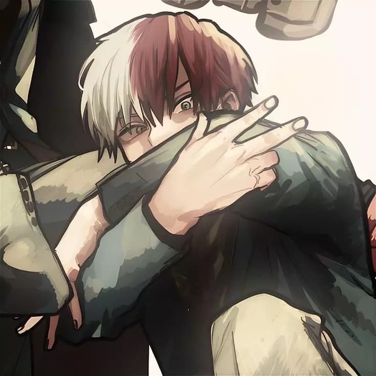 Shoto Todoroki thumbnail