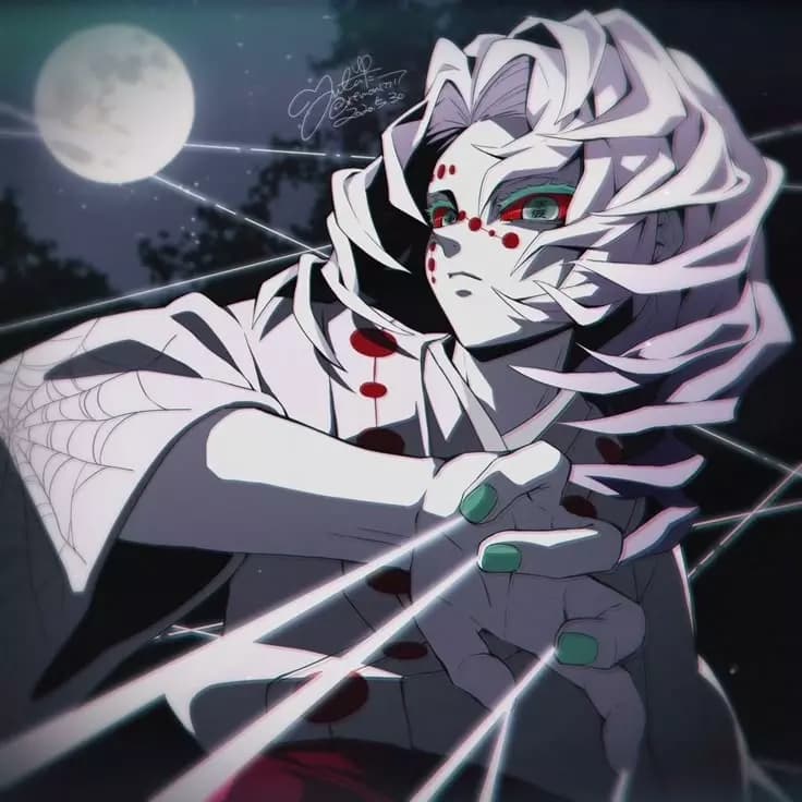 ꪆ🕷️ৎ rui thumbnail
