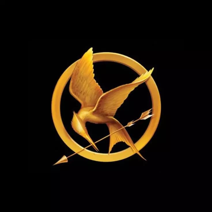 The Hunger Games... thumbnail