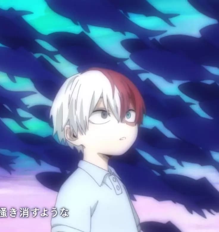 Shoto Todoroki thumbnail