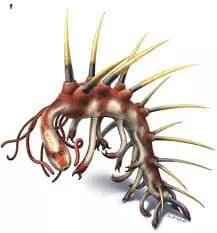 Hallucigenia thumbnail