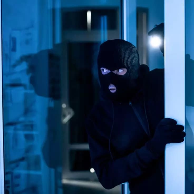 Thief thumbnail