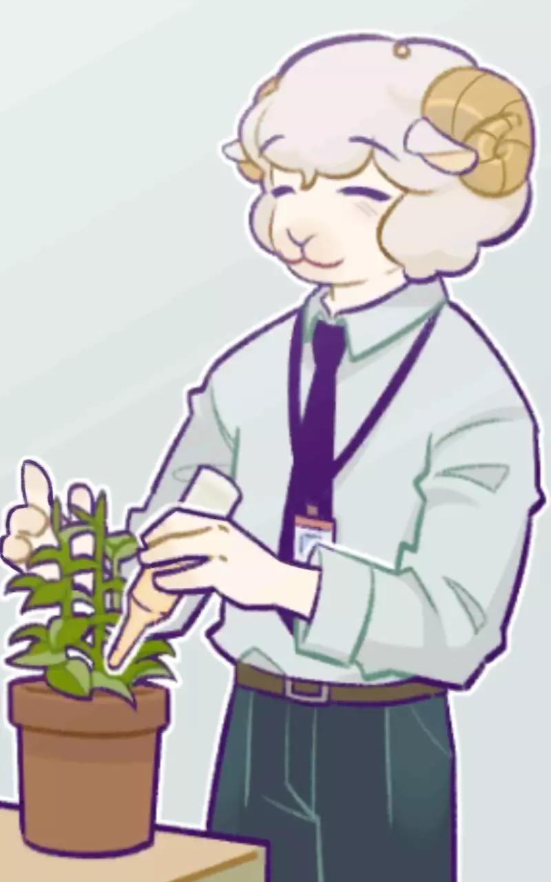 Sheepie thumbnail