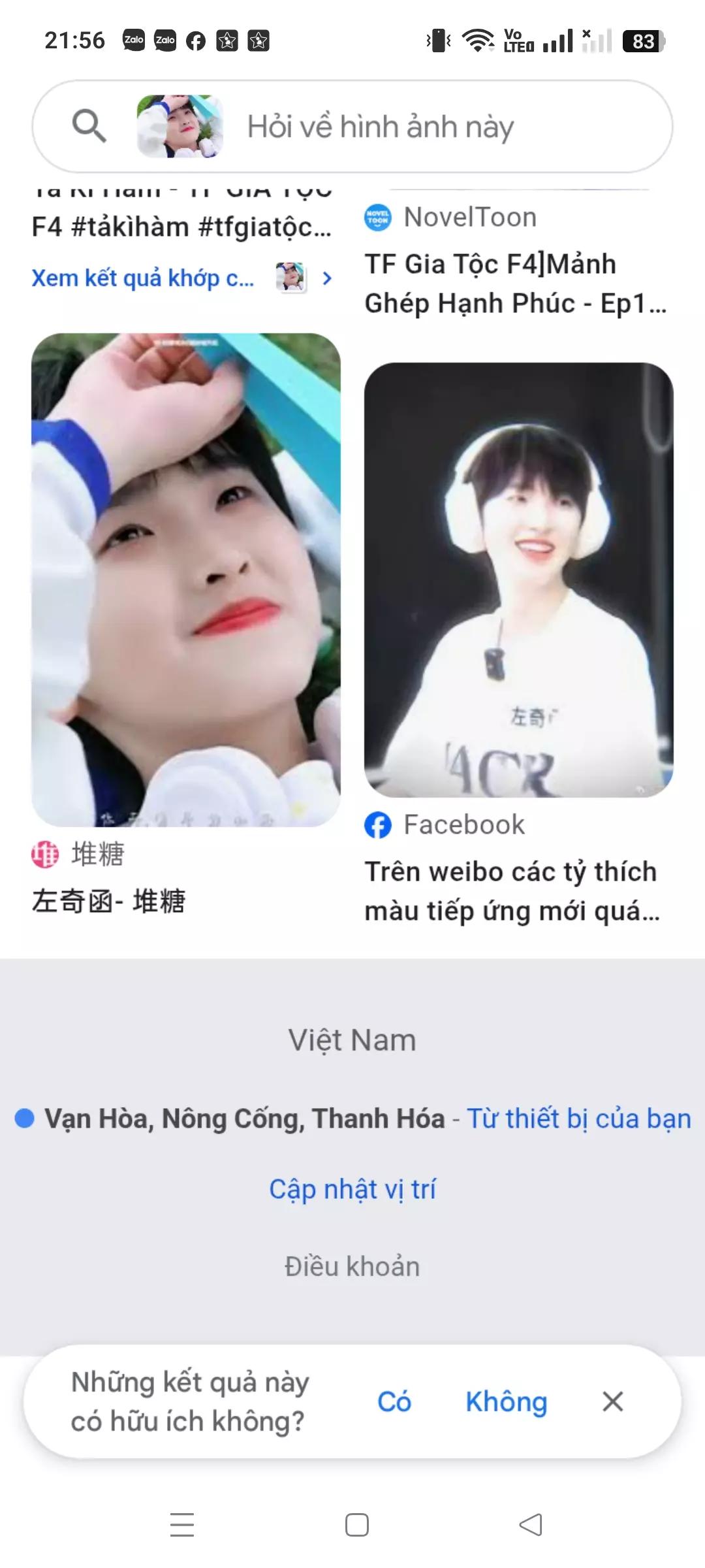 Ta Ky Ham \_ baby hedgehog thumbnail