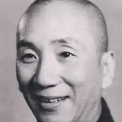Ip Man thumbnail
