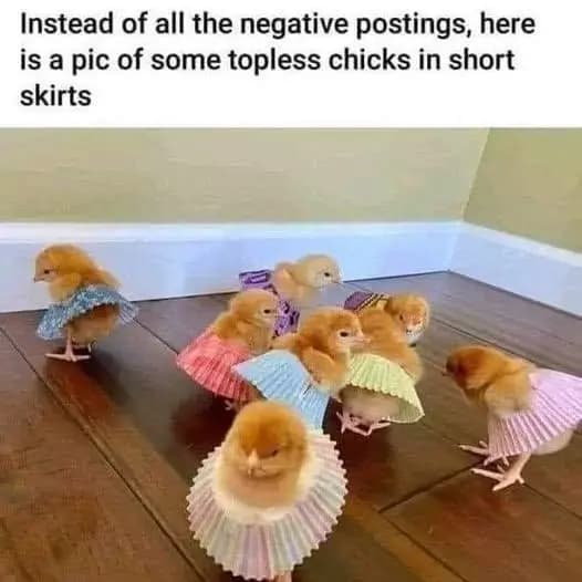 Topless chicks in short skirts thumbnail
