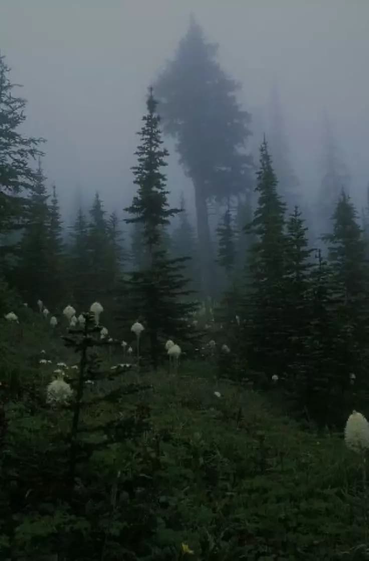 ༘⋆ thumbnail