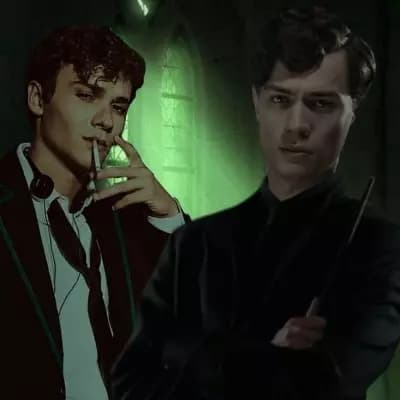 Tom and Mattheo Riddle thumbnail
