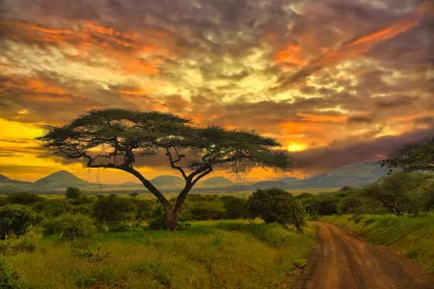 RPG Tsavo National Park thumbnail