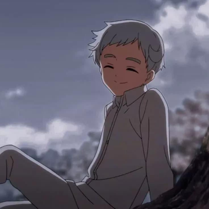 Norman— Tpn thumbnail