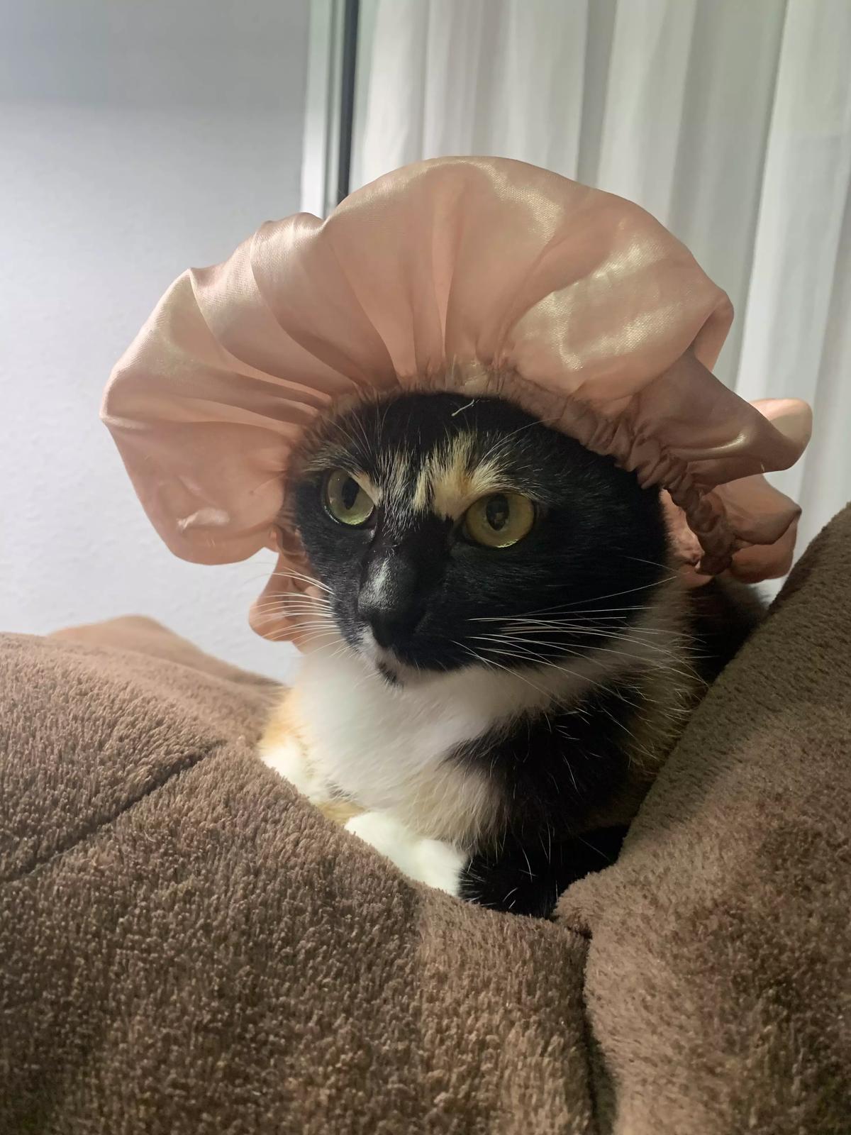 maru thumbnail