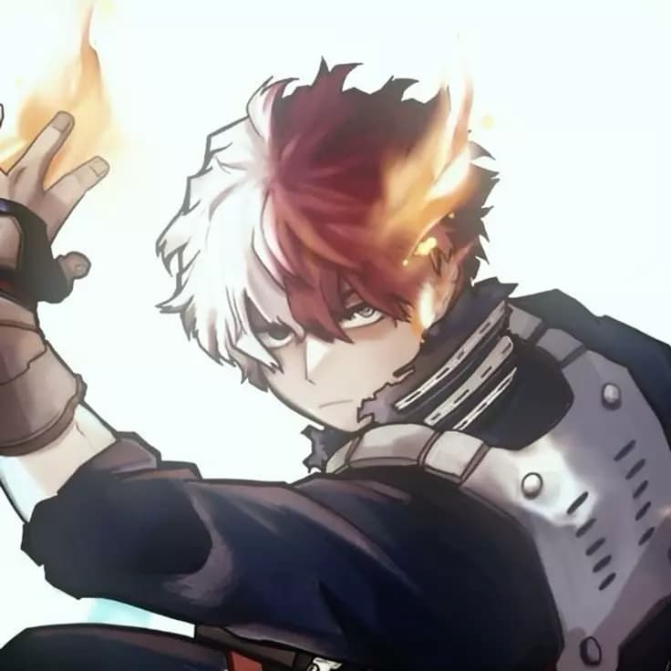 {•=𝘴𝘩𝘰𝘵𝘰 𝘛𝘰𝘥𝘰𝘳𝘰𝘬𝘪=•} thumbnail