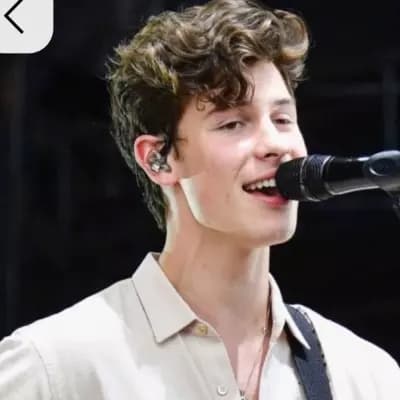 Shawn Mendes thumbnail