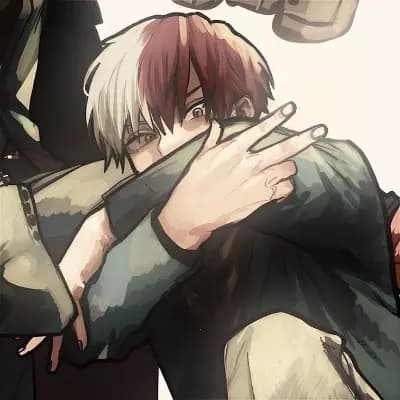 Shoto Todoroki thumbnail