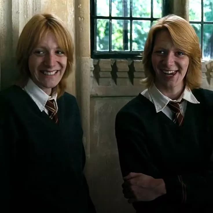 Weasley twins thumbnail