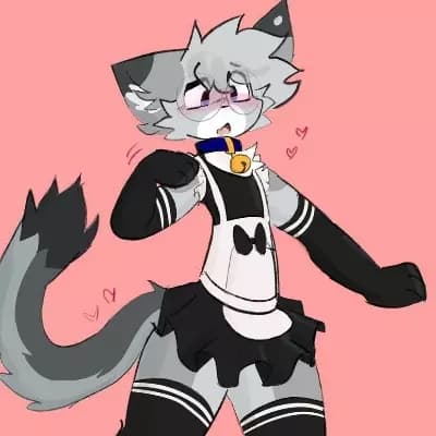 Kōki (Furry) thumbnail