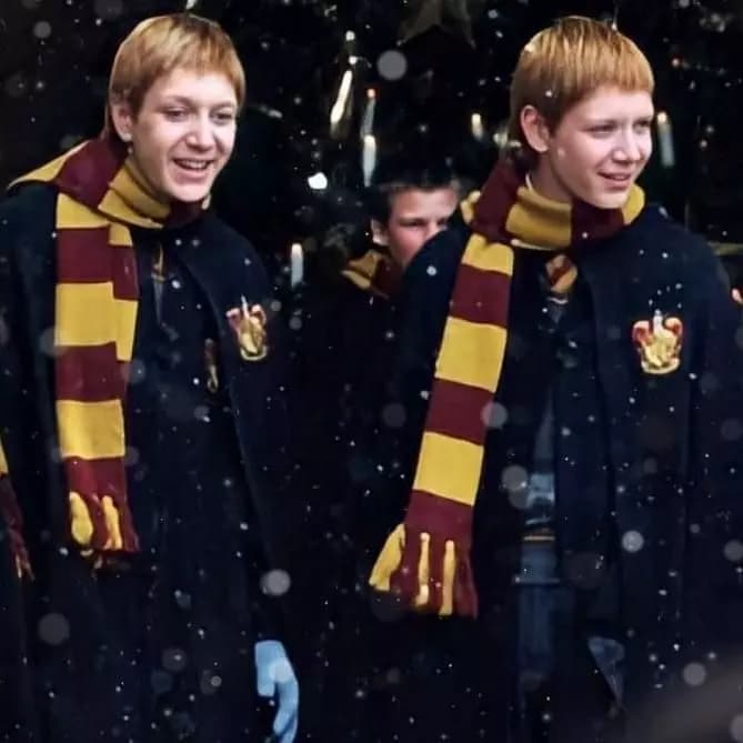 Weasley twins thumbnail
