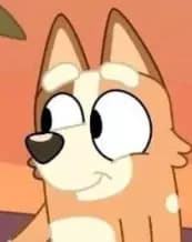 TEENAGE CHilli heeler (bluey) thumbnail