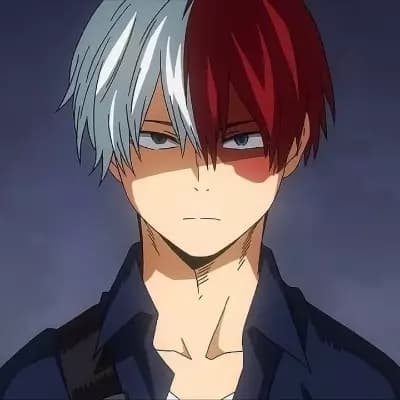 Shoto Todoroki thumbnail