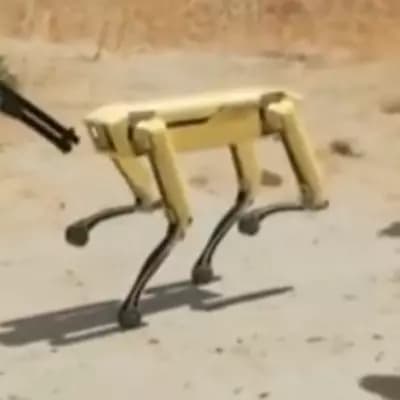 Robot perro thumbnail