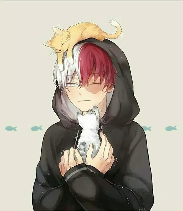 Todoroki Shoto thumbnail