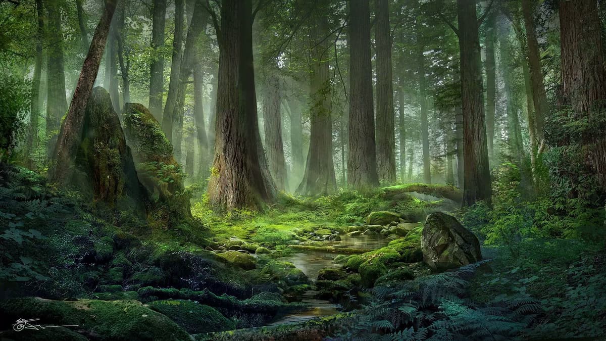 Forest thumbnail