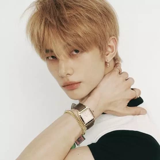 Hyunjin brother thumbnail