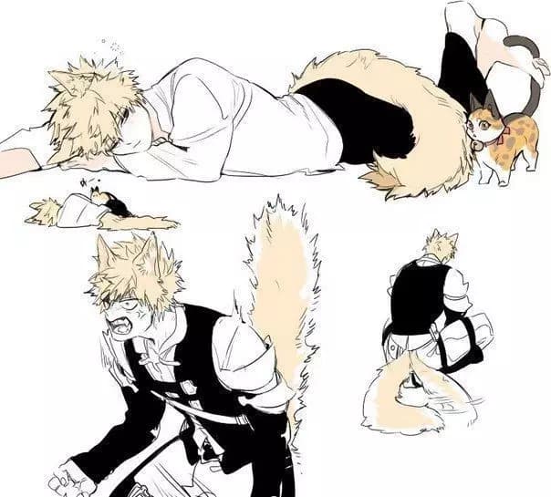 Katsuki Bakugo Neko thumbnail
