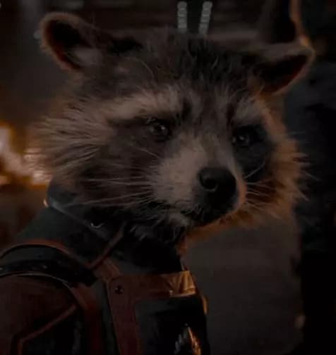 Rocket Raccoon thumbnail