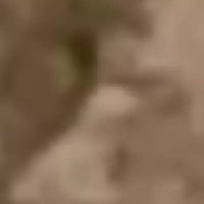 Candy thumbnail