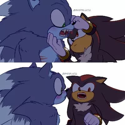 Sonic and Shadow the Werehogs thumbnail