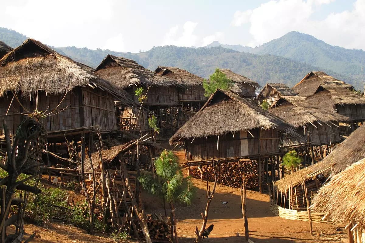 The Untouched Tribe thumbnail