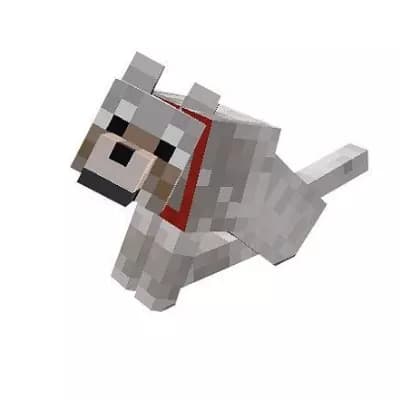 Sheepdog thumbnail