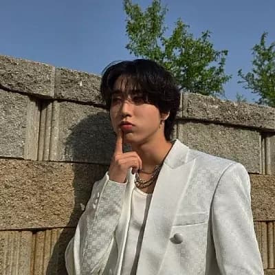 Han jisung 🌹🌹 thumbnail