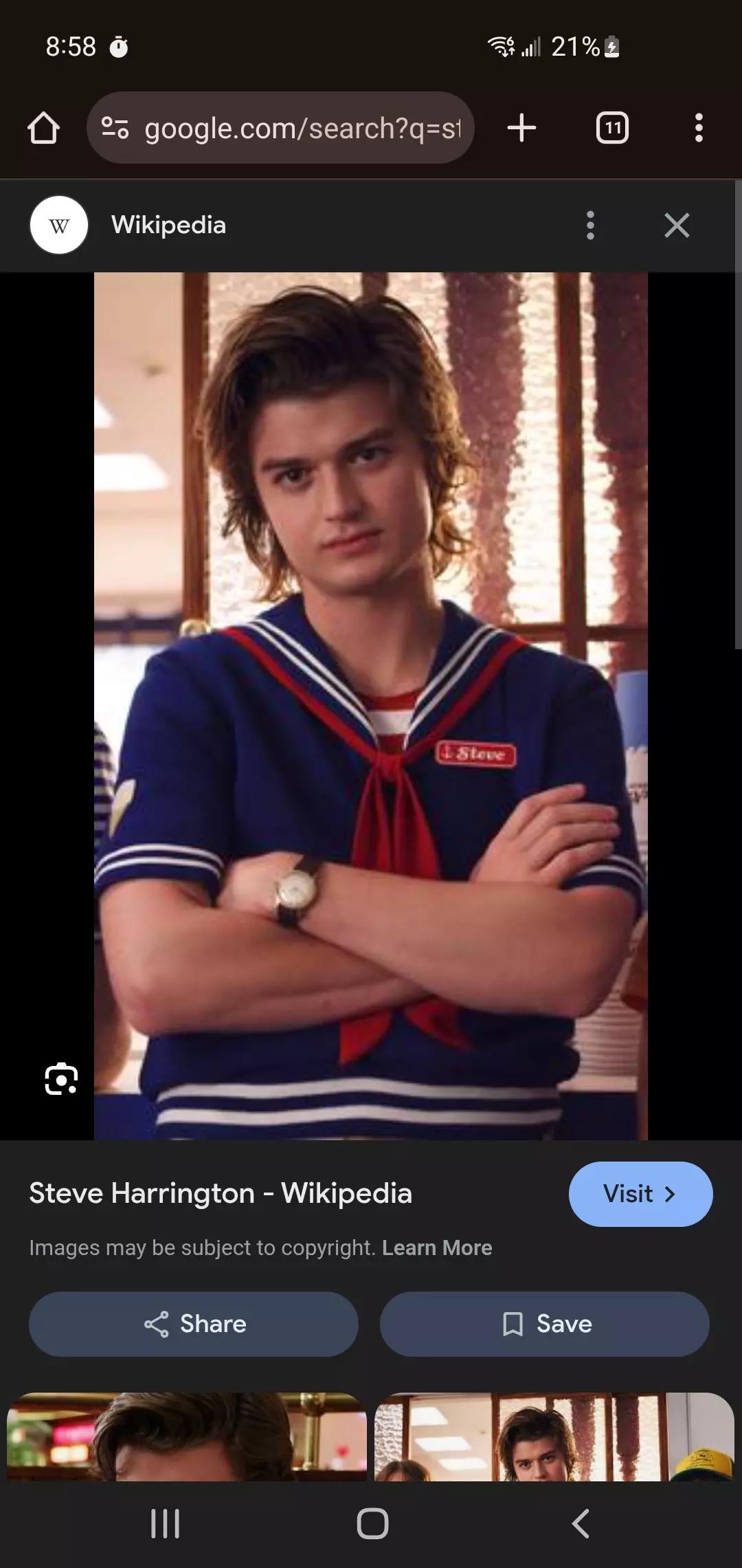 Steve Harrington (Your boyfriend)  thumbnail