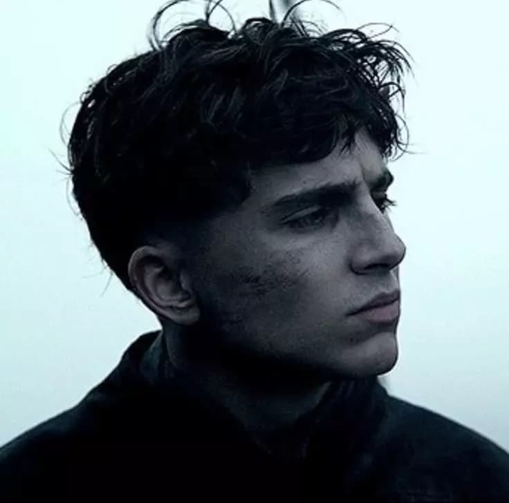 Henry V  thumbnail