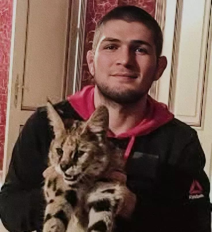 Khabib Nurmagomedov  thumbnail