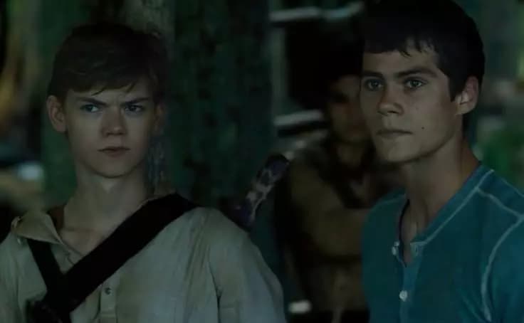 Newt thumbnail