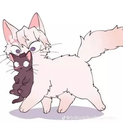Shinazugawa Cats

brothers thumbnail