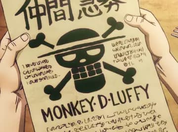 Straw hat pirates thumbnail
