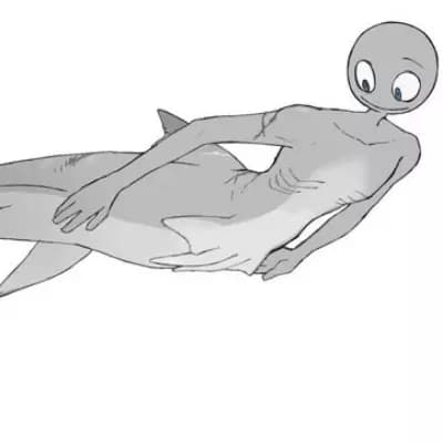 Peter Dunbar shark thumbnail