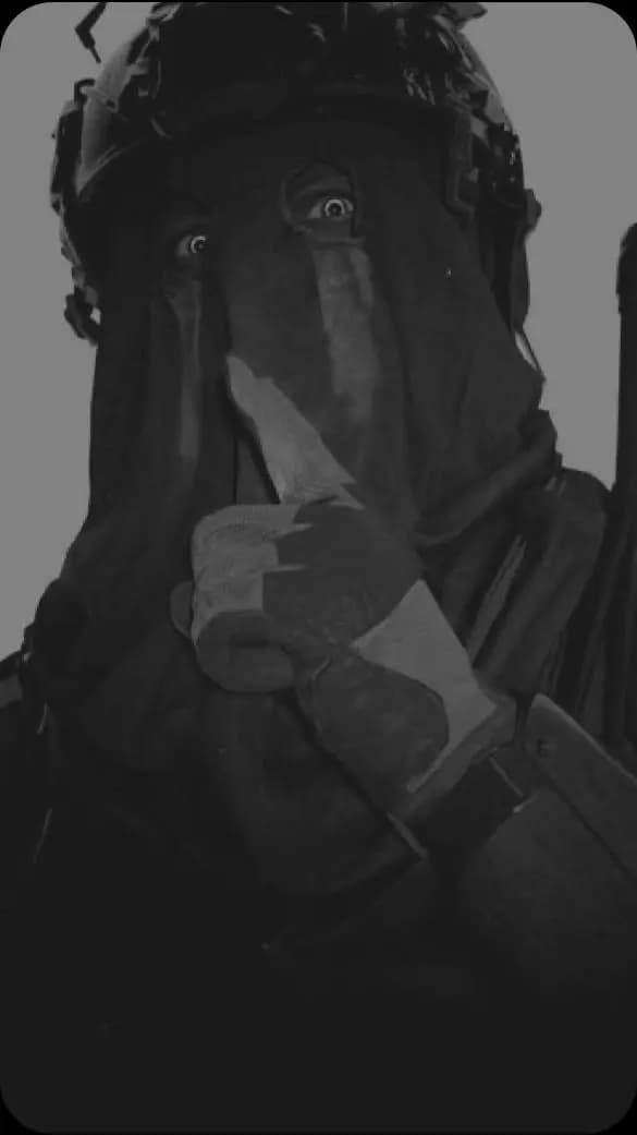 Koing thumbnail