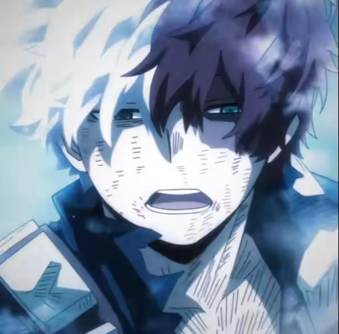 Shoto Todoroki thumbnail