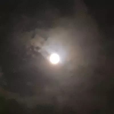 Luna thumbnail