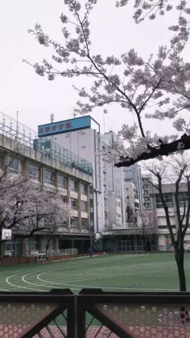 Japan is not Mexico thumbnail