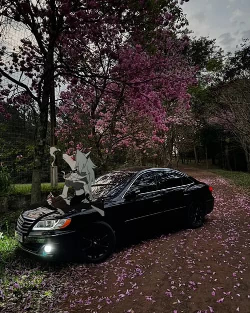 Role de Hyundai Azera v6 thumbnail