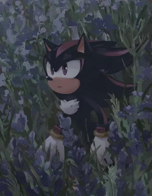 Shadow thumbnail